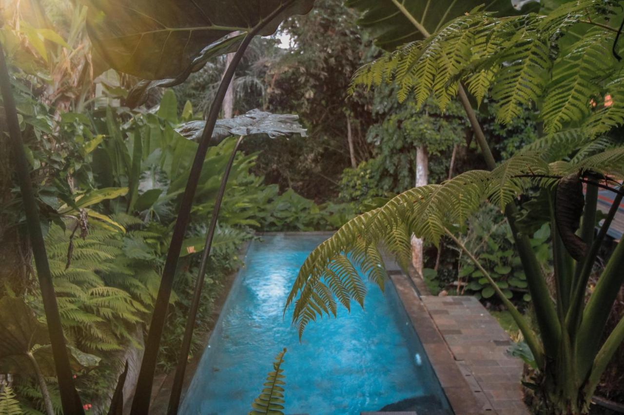 Aji Lodge Bungalow Ubud Exterior foto