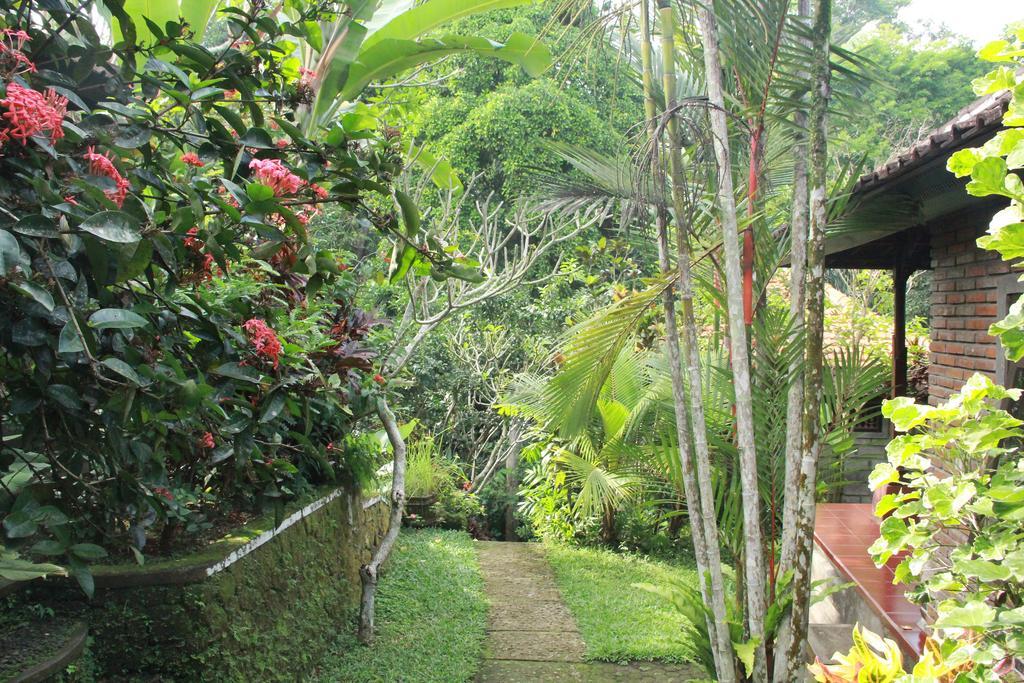 Aji Lodge Bungalow Ubud Exterior foto