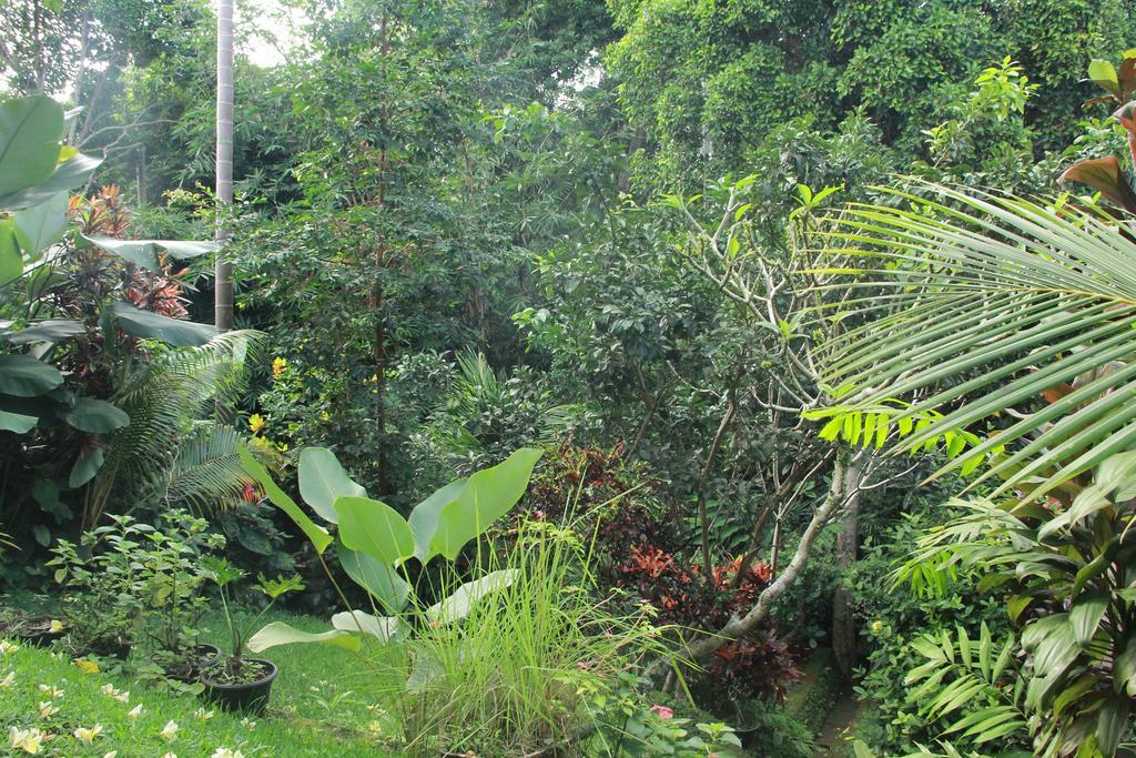 Aji Lodge Bungalow Ubud Habitación foto